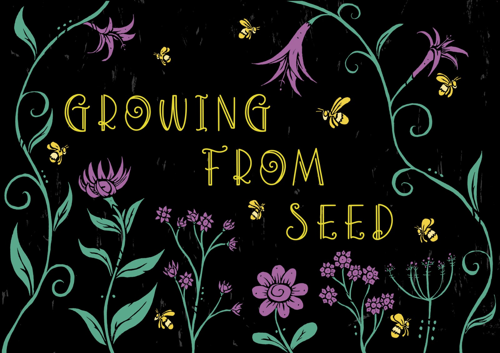 Growing from Seed Workshop 10th April