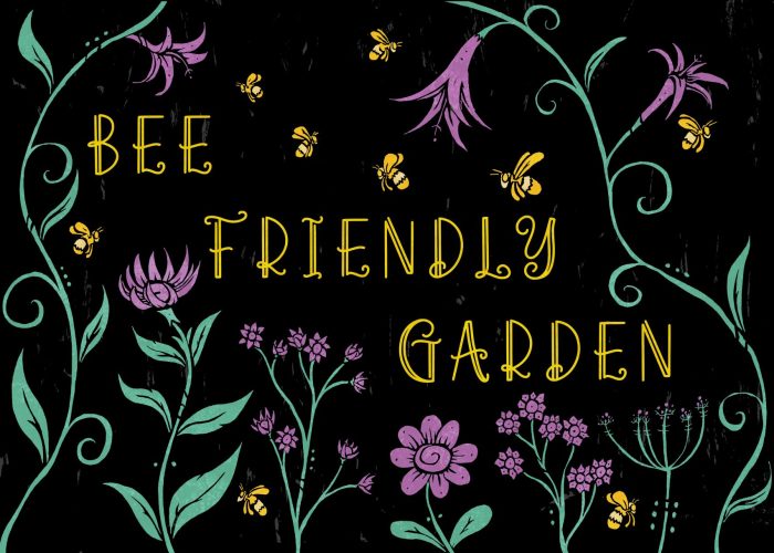 Bee Friendly Garden workshop graphic Tom Charlesworth illustration